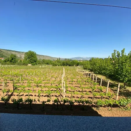 Cabera Vila
