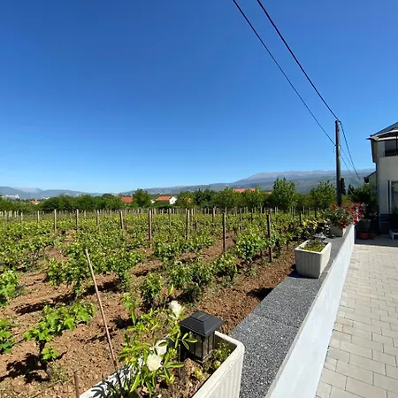 Villa Cabera Buna
